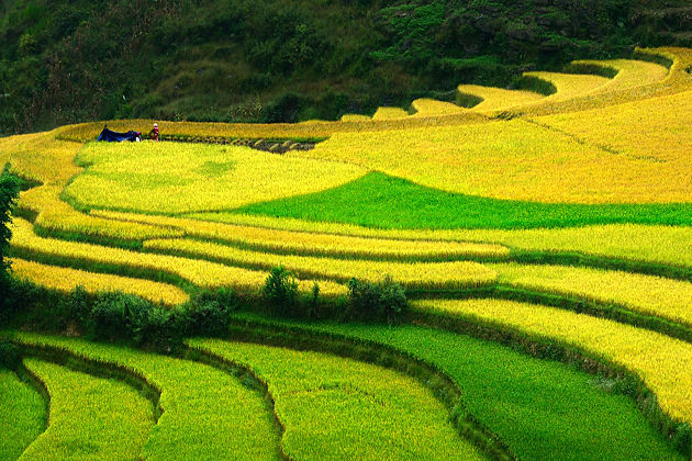 Ha Giang Travel – Things to Do & Essential Guides