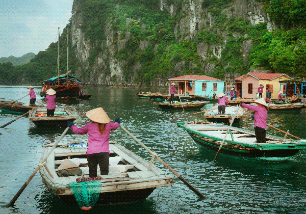 vung vieng fishing village