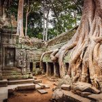 Beng Mealea Temple Cambodia Vietnam Tour