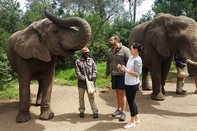 Elephant Sanctuary - Vietnam tour package