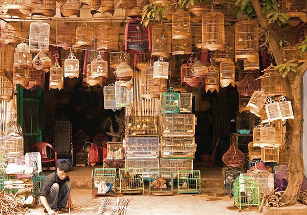 Hanoi Old Quarter in Vietnam Family Tour