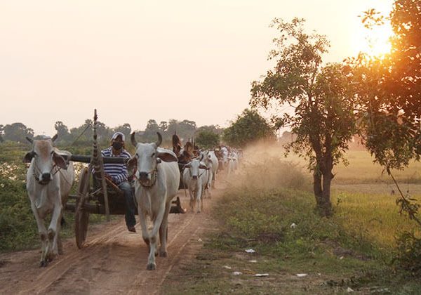 Kampong Tralach Cambodia - Vietnam tour package