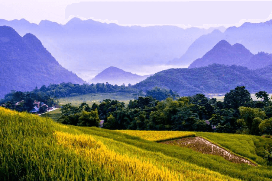 Pu Luong tour operators in Vietnam