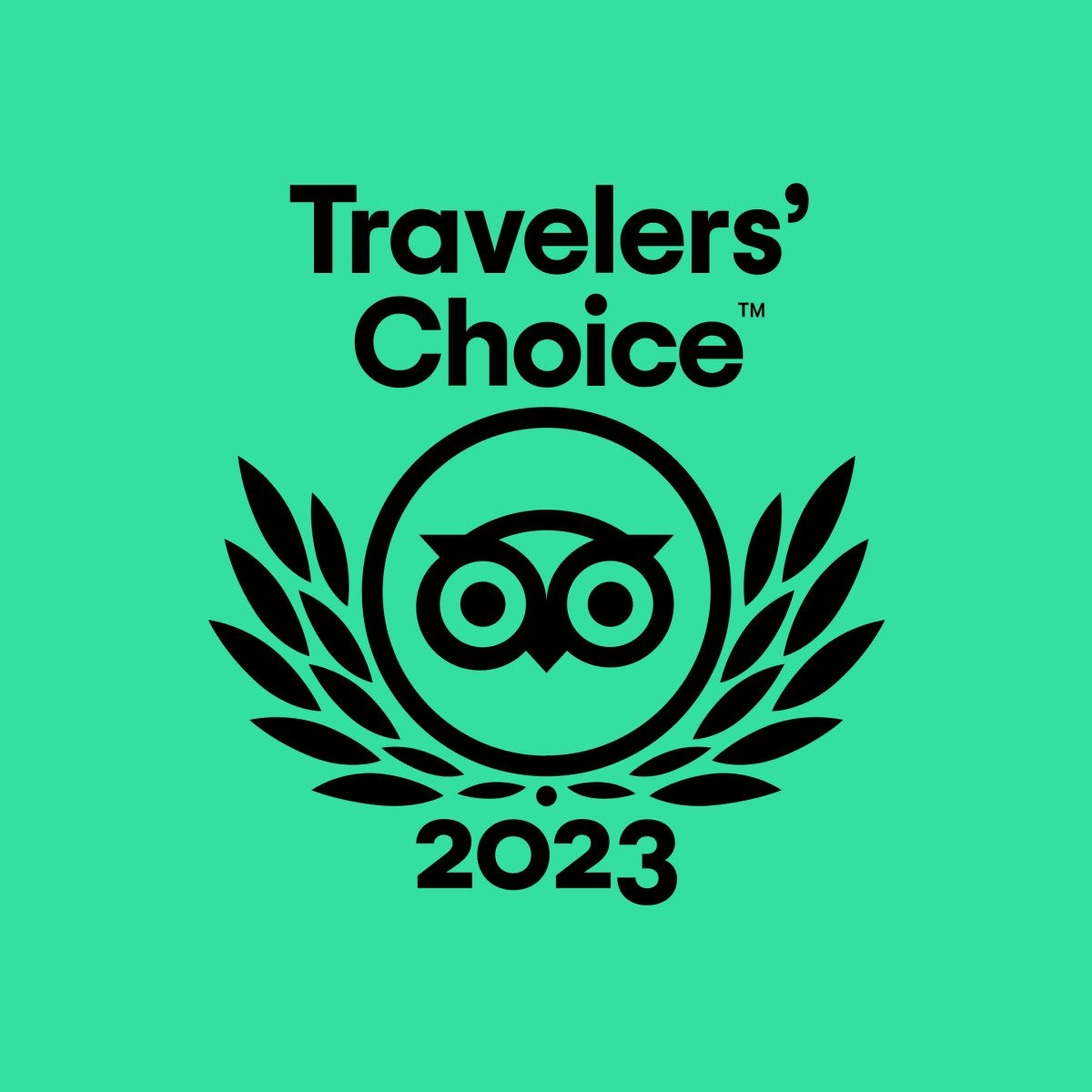 2023 tour operators in Vietnam