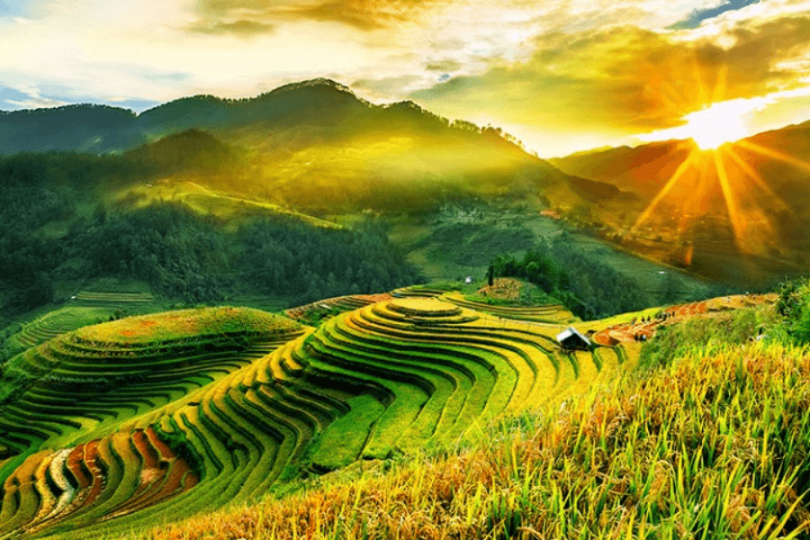 Mu Cang Chai - Vietnam tour package