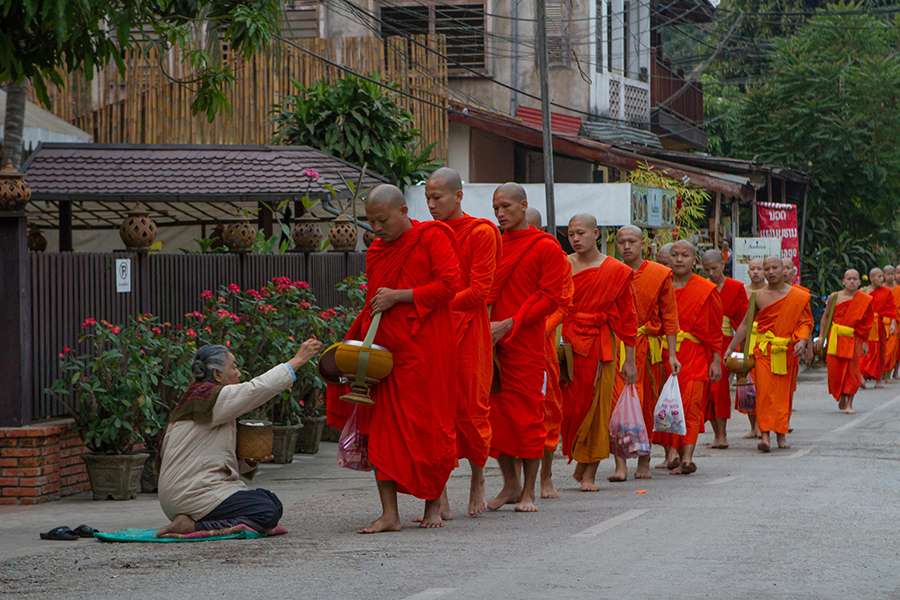 Alms Giving Ceremony in Laos - Multi country tour