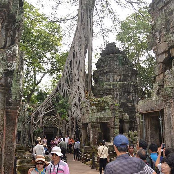 Ta Prohm, Cambodia - Multi country tour