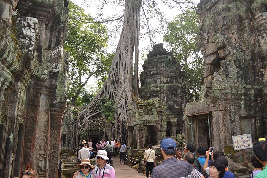 Ta Prohm, Cambodia - Multi country tour
