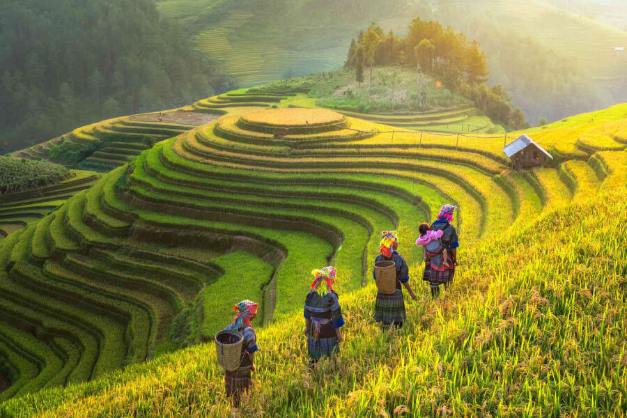 Sapa- Vietnam local tour operators