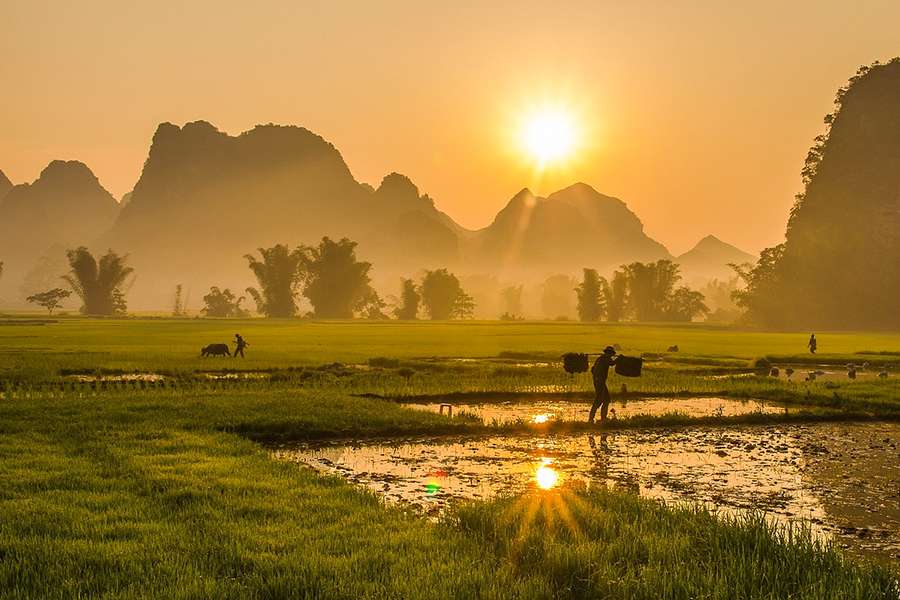 Vietnam landscape - Vietnam tour packages