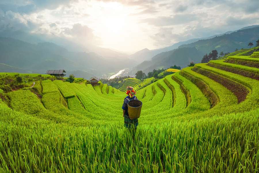 Vietnam northern highlands - Vietnam tour operators