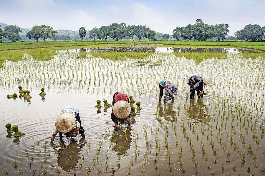 Vietnam weather - Vietnam local tour operators