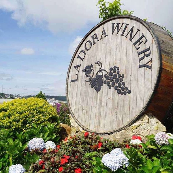 Lado wine factory, Dalat - Vietnam tours