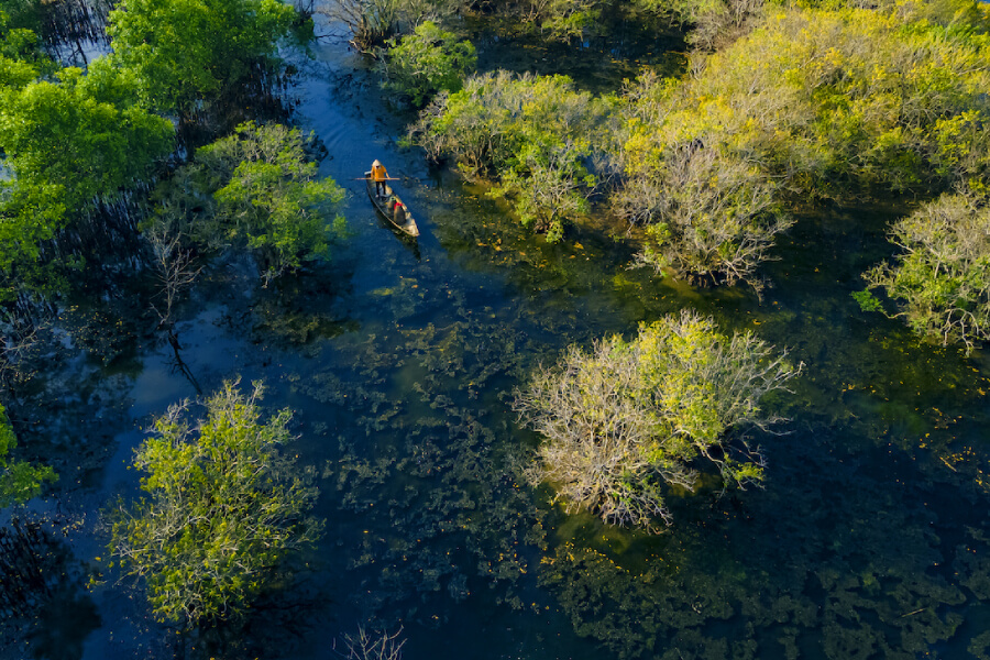 Ru Cha Mangrove Forest - Hue Tours