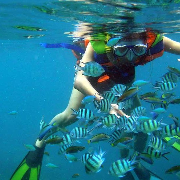 Snorkeling Tam Island, Nha Trang - Vietnam tours