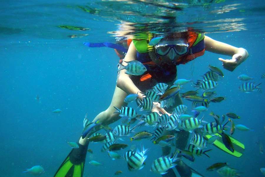Snorkeling Tam Island, Nha Trang - Vietnam tours