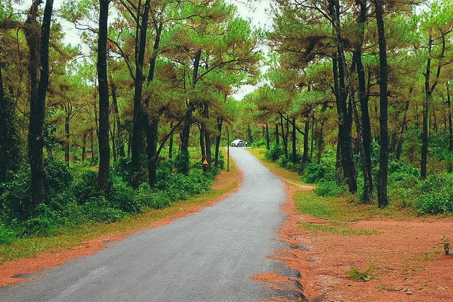 Thien An Hill in Hue tours