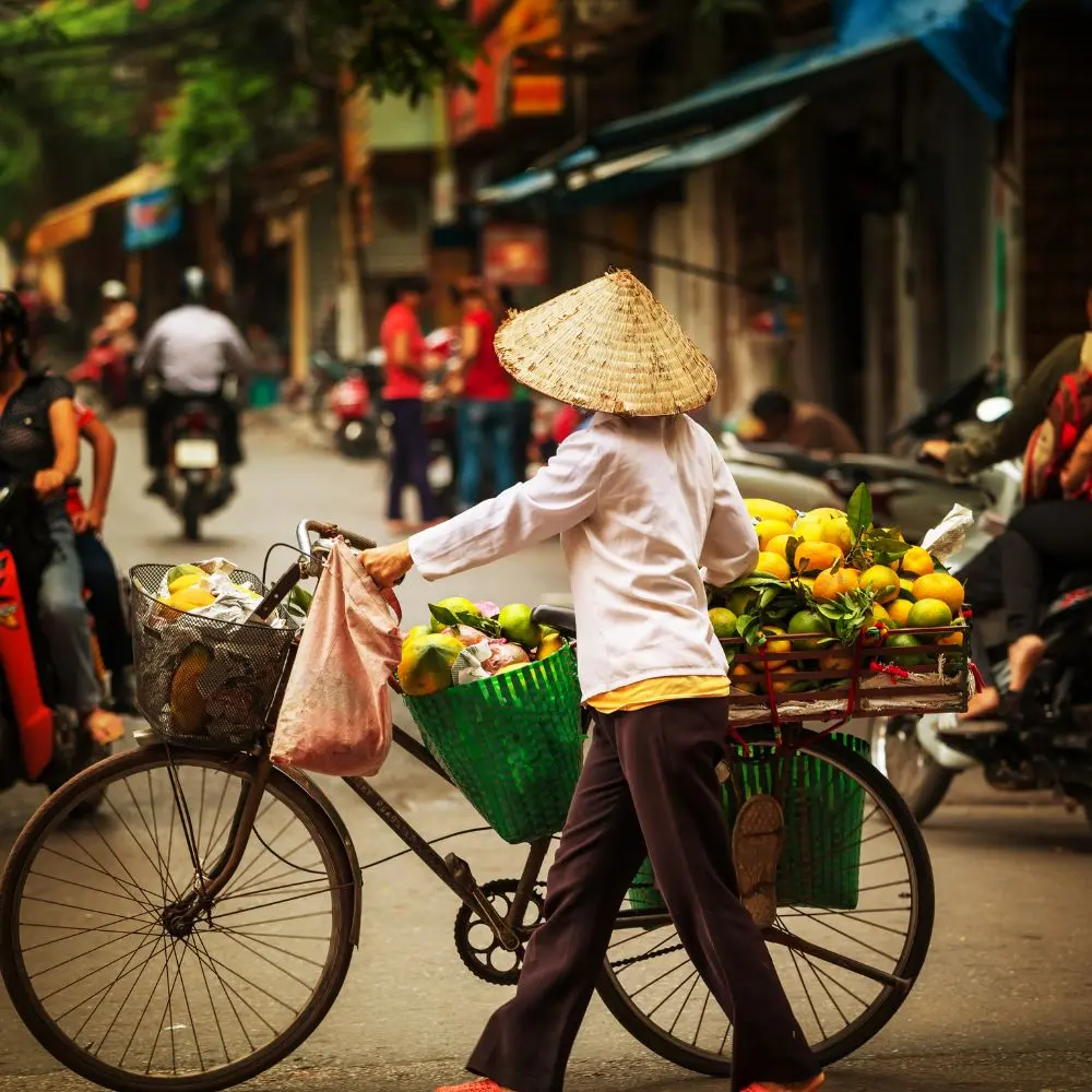 vietnam tour packages provided by vietnam local tour operators