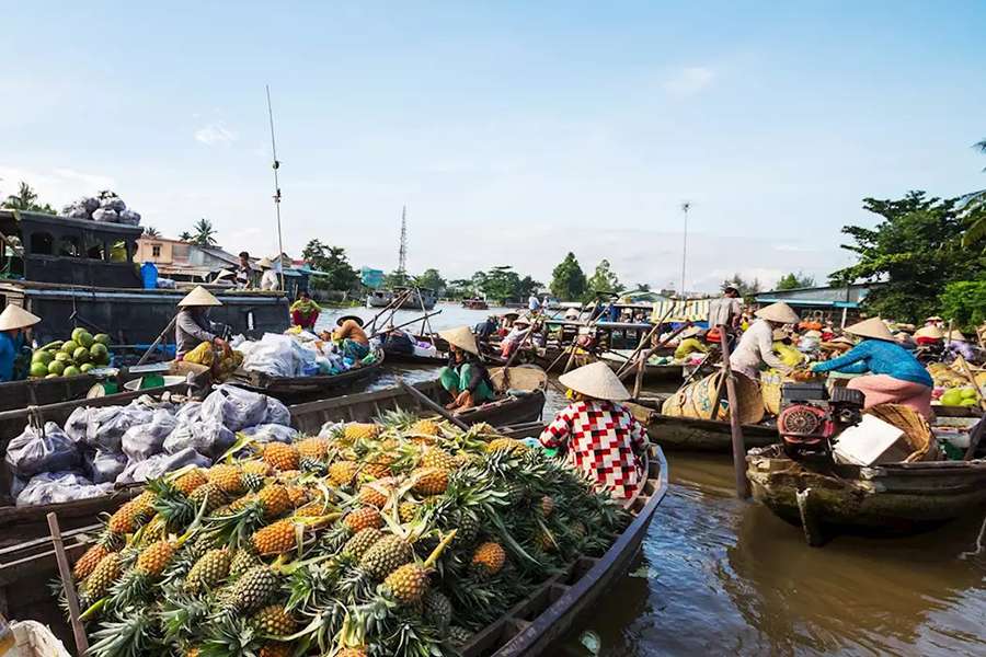 Cai Rang Floating Market - Multi country tours