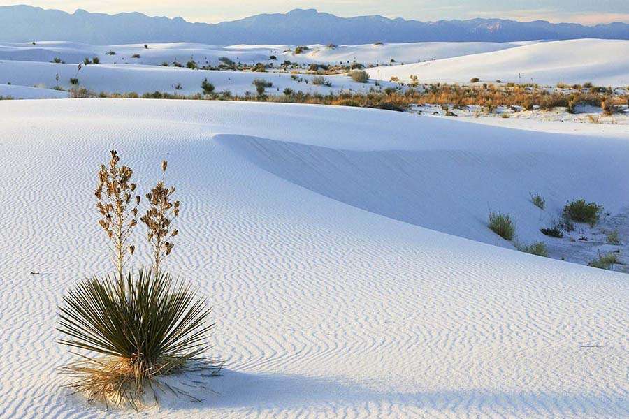 Mui Ne white sand dunes - Multi country tours