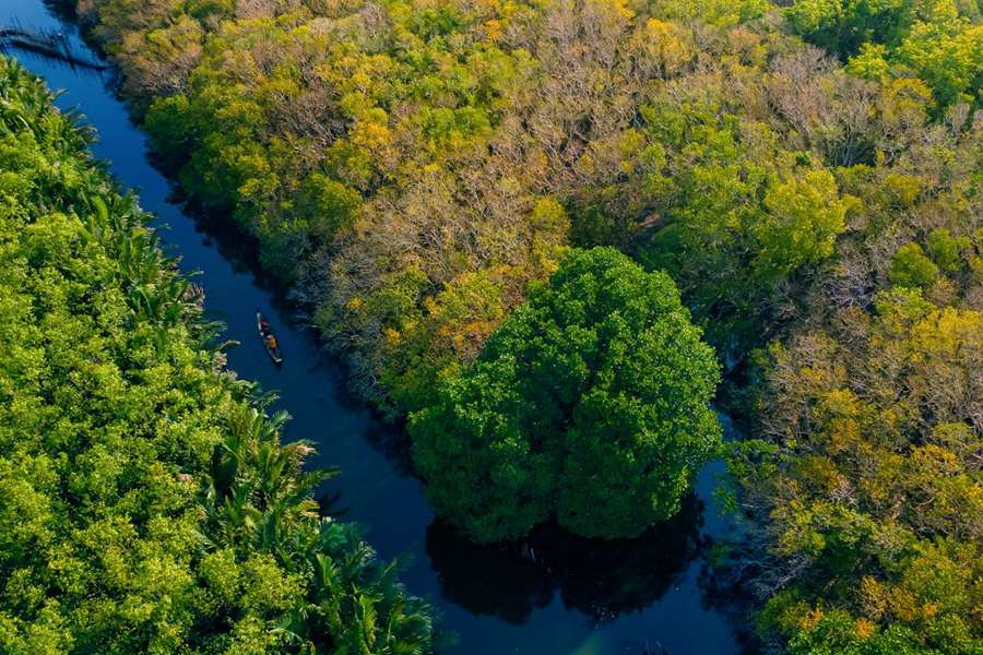 Ru Cha mangroves -Multi country tour