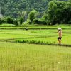 Trekking in Mai Chau - Vietnam adventure holidays