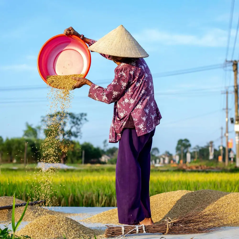 about vietnam local tour operators