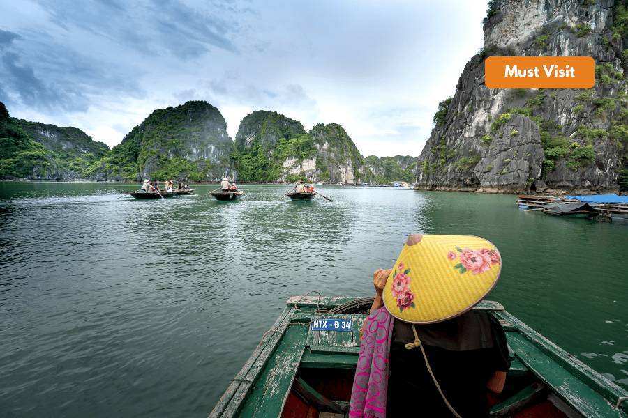 Halong Bay by Tour Operators in Vietnam
