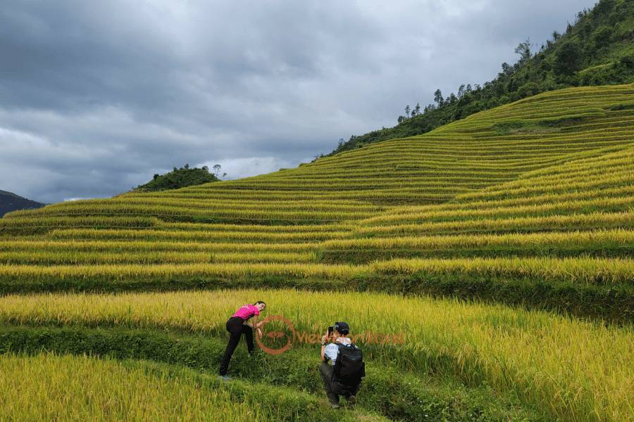 Sapa Visit with Vietnam Travel Agency