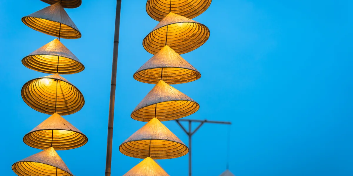 Planning with Vietnam Local Tour Company