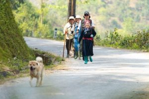 Experience village life sustainable travel in vietnam