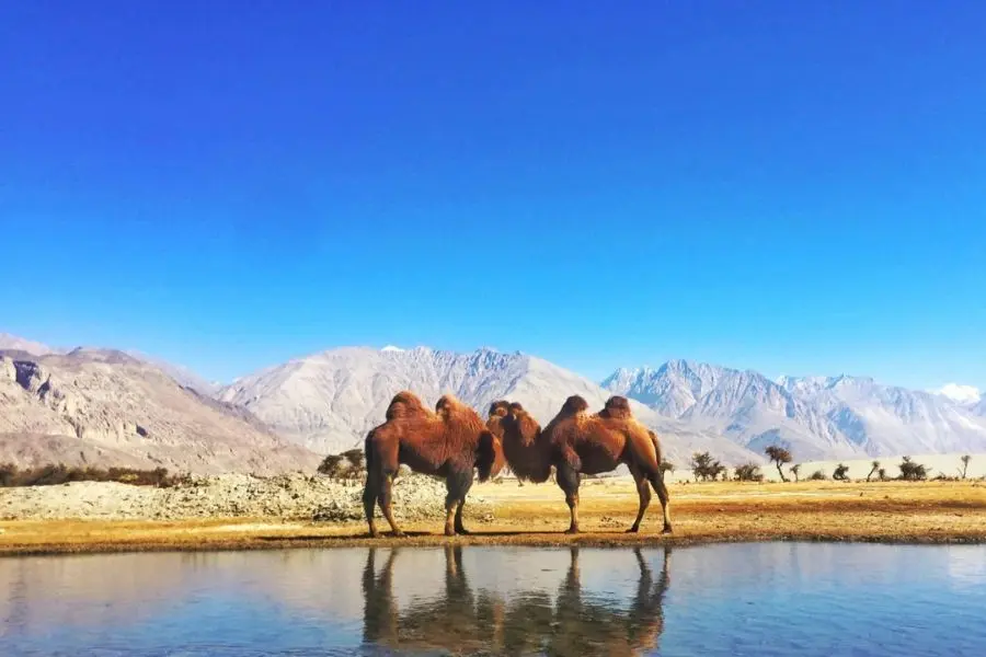 Hundar Asia village tourism