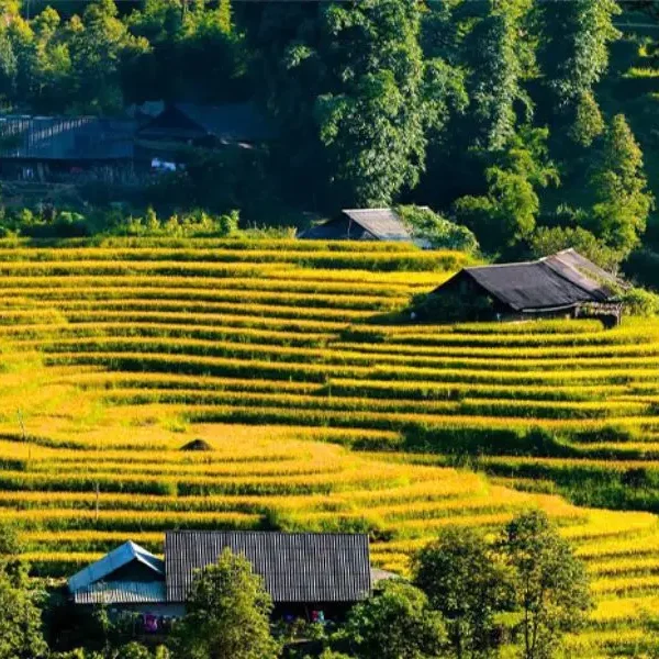 Ta Van Village Sa Pa tourism