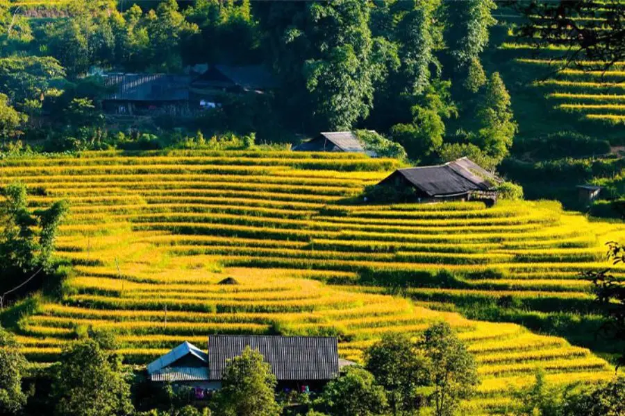 Ta Van Village Sa Pa tourism