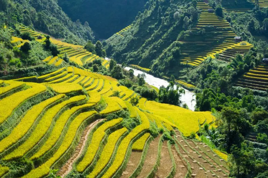 insider travel guide with vietnam local tour operators