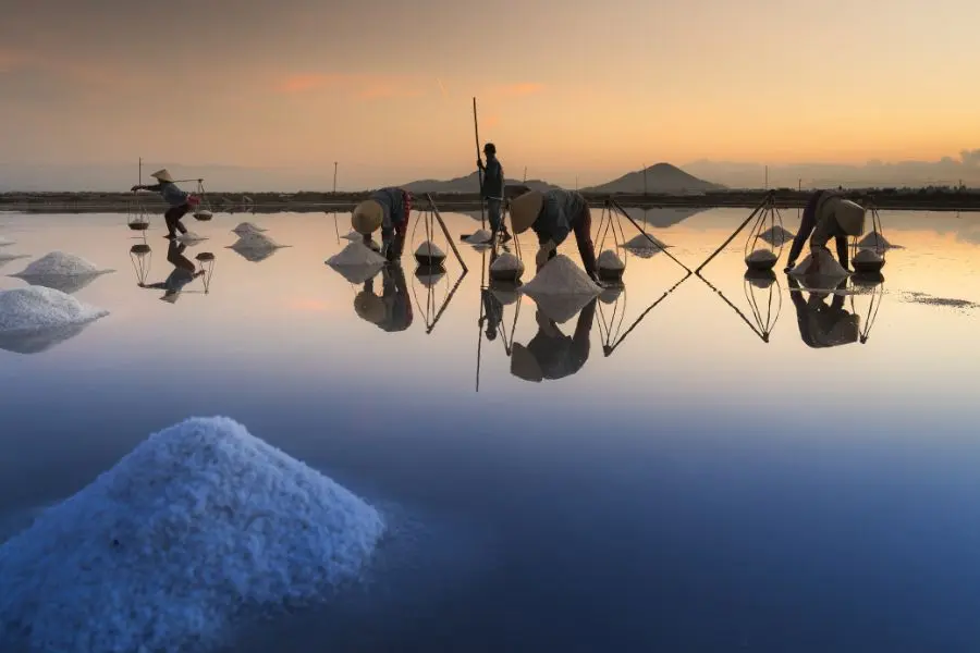 travel news of vietnam local tour operators