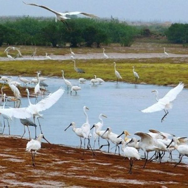 xuan thuy national park vietnam classic tour