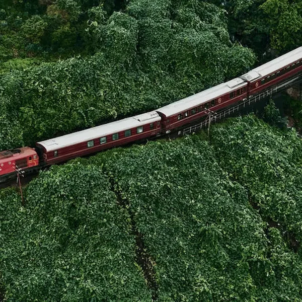 luxury rail vacation with vietnam local tour operators