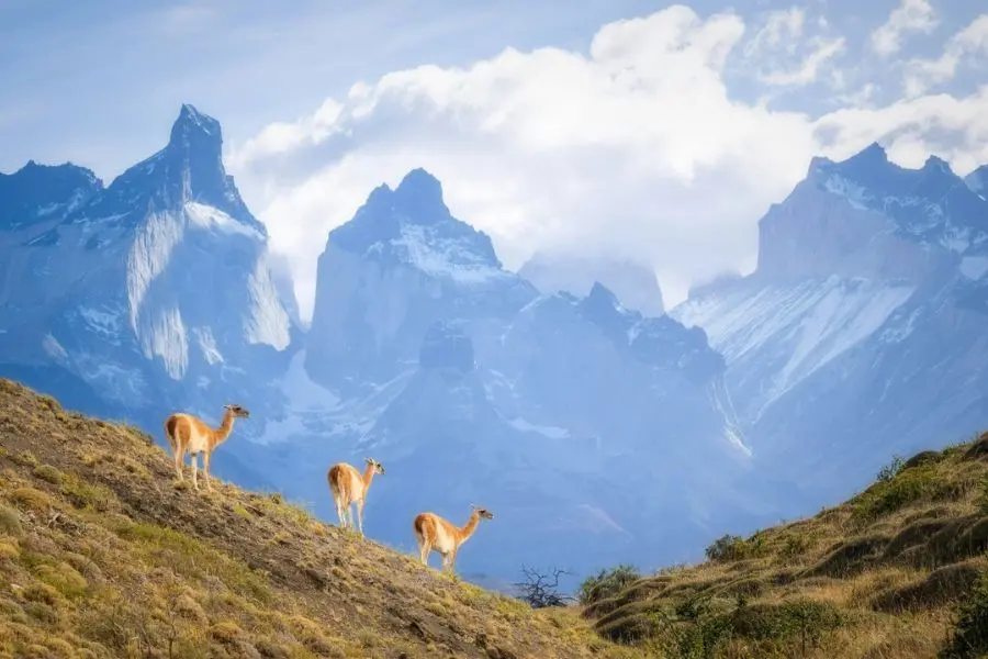 Chile - Top friendliest countries posted by vietnam local tour operators