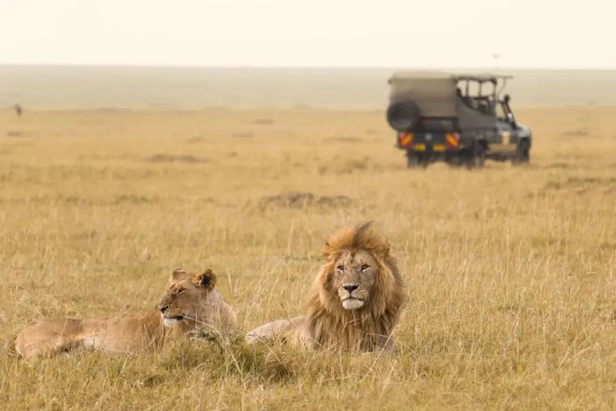 Kenya - Top friendliest countries posted by vietnam local tour operators