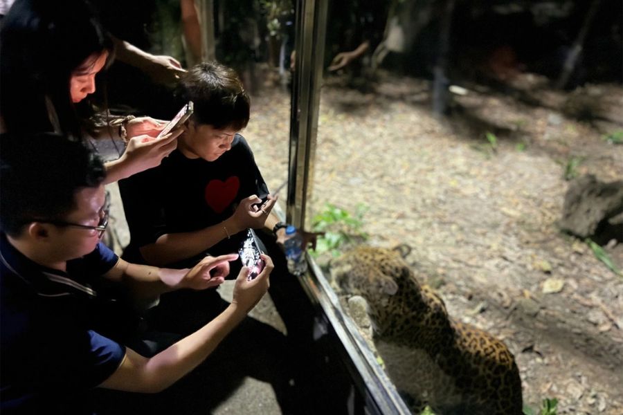 Saigon Zoo Night Safari - new uniqe experiences in vietnam