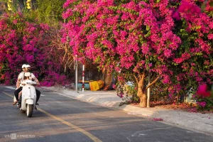 hidden gems in nha trang (1)