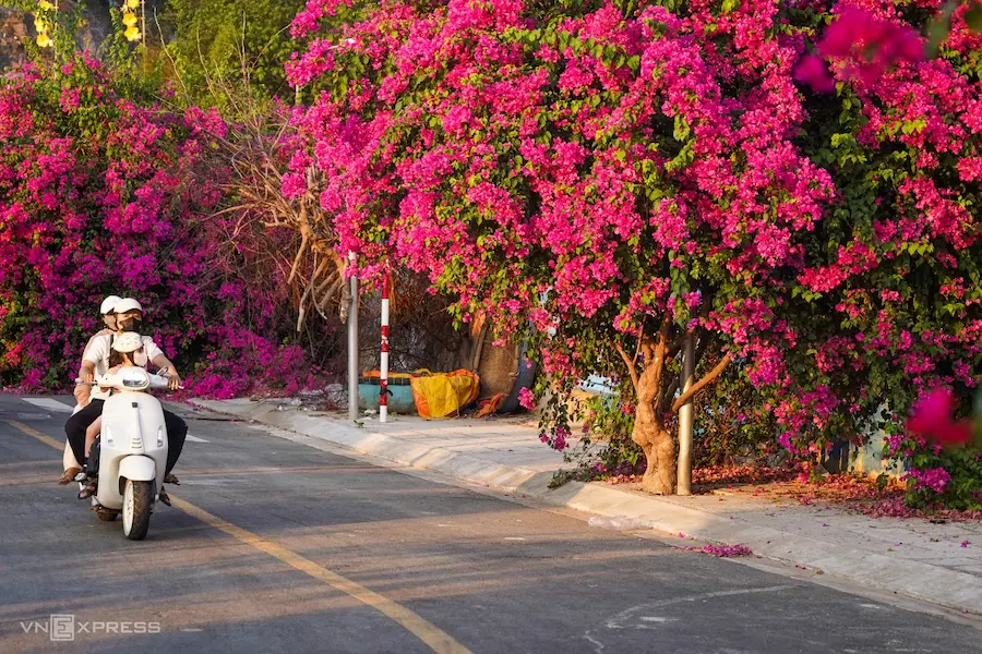 hidden gems in nha trang (1)