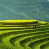 la pan tan village