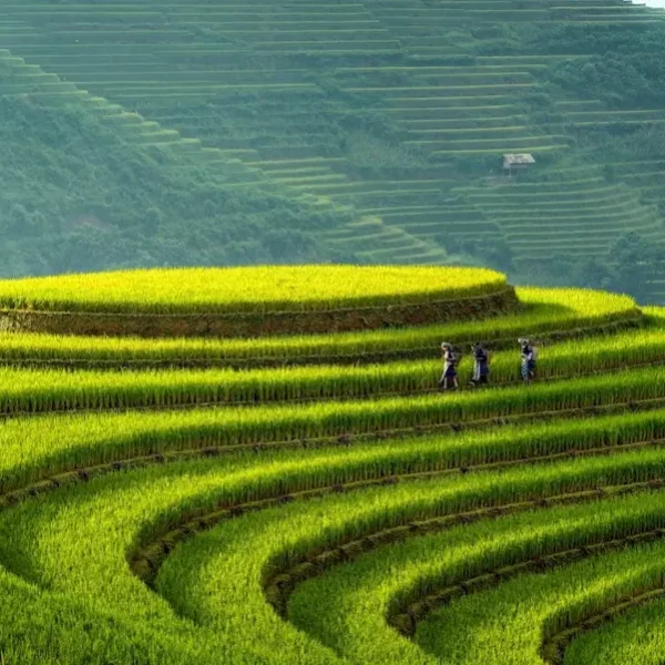 la pan tan village