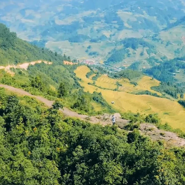 the uniquely Dinosaur's backbone in Mu Cang Chai (1)